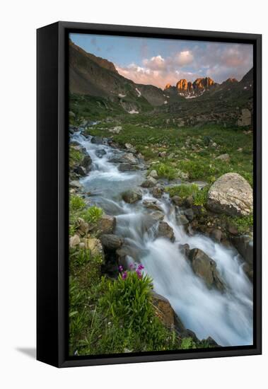 Colorado, Rocky Mountain Sunset in American Basin with Stream and Alpine Wildflowers-Judith Zimmerman-Framed Stretched Canvas