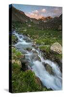 Colorado, Rocky Mountain Sunset in American Basin with Stream and Alpine Wildflowers-Judith Zimmerman-Stretched Canvas