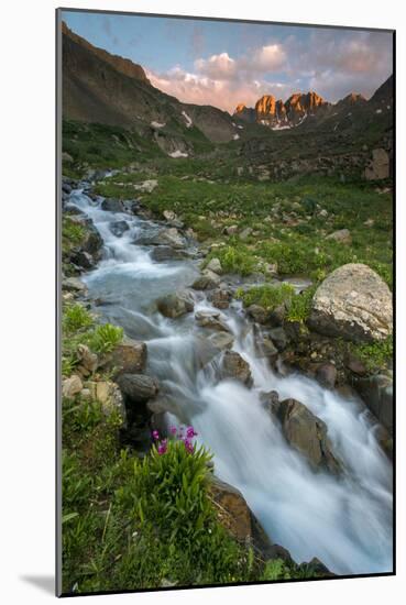 Colorado, Rocky Mountain Sunset in American Basin with Stream and Alpine Wildflowers-Judith Zimmerman-Mounted Photographic Print