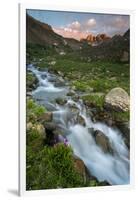 Colorado, Rocky Mountain Sunset in American Basin with Stream and Alpine Wildflowers-Judith Zimmerman-Framed Photographic Print