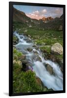 Colorado, Rocky Mountain Sunset in American Basin with Stream and Alpine Wildflowers-Judith Zimmerman-Framed Photographic Print