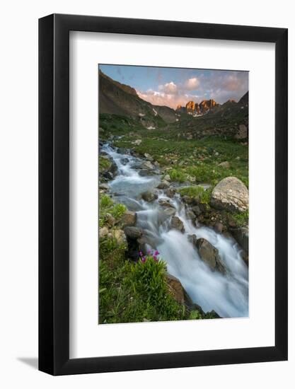 Colorado, Rocky Mountain Sunset in American Basin with Stream and Alpine Wildflowers-Judith Zimmerman-Framed Photographic Print