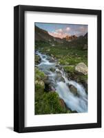 Colorado, Rocky Mountain Sunset in American Basin with Stream and Alpine Wildflowers-Judith Zimmerman-Framed Photographic Print