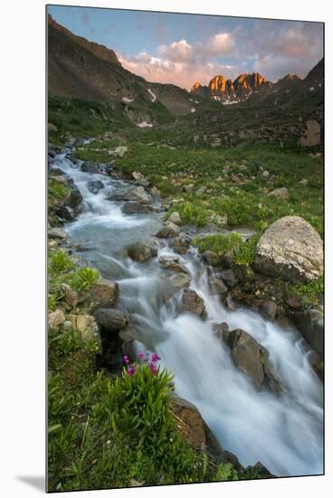 Colorado, Rocky Mountain Sunset in American Basin with Stream and Alpine Wildflowers-Judith Zimmerman-Mounted Premium Photographic Print