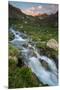 Colorado, Rocky Mountain Sunset in American Basin with Stream and Alpine Wildflowers-Judith Zimmerman-Mounted Premium Photographic Print