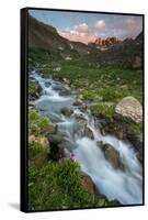 Colorado, Rocky Mountain Sunset in American Basin with Stream and Alpine Wildflowers-Judith Zimmerman-Framed Stretched Canvas