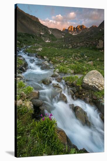 Colorado, Rocky Mountain Sunset in American Basin with Stream and Alpine Wildflowers-Judith Zimmerman-Stretched Canvas