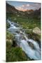 Colorado, Rocky Mountain Sunset in American Basin with Stream and Alpine Wildflowers-Judith Zimmerman-Mounted Photographic Print
