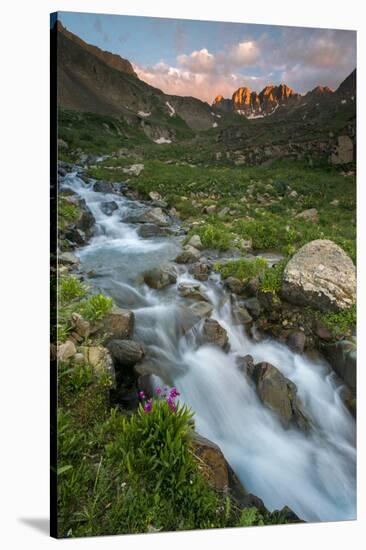 Colorado, Rocky Mountain Sunset in American Basin with Stream and Alpine Wildflowers-Judith Zimmerman-Stretched Canvas