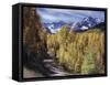 Colorado, Rocky Mountains, Dirt Road, Autumn Aspens in the Backcountry-Christopher Talbot Frank-Framed Stretched Canvas