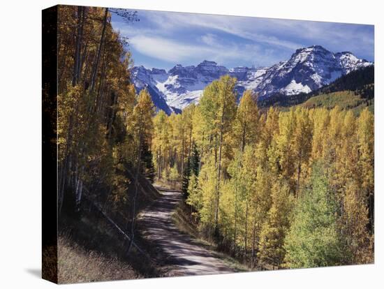 Colorado, Rocky Mountains, Dirt Road, Autumn Aspens in the Backcountry-Christopher Talbot Frank-Stretched Canvas