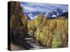 Colorado, Rocky Mountains, Dirt Road, Autumn Aspens in the Backcountry-Christopher Talbot Frank-Stretched Canvas