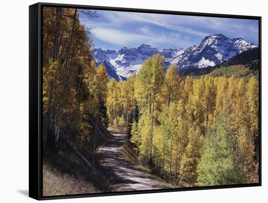 Colorado, Rocky Mountains, Dirt Road, Autumn Aspens in the Backcountry-Christopher Talbot Frank-Framed Stretched Canvas