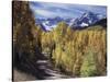 Colorado, Rocky Mountains, Dirt Road, Autumn Aspens in the Backcountry-Christopher Talbot Frank-Stretched Canvas