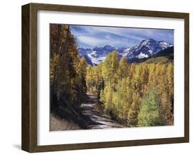Colorado, Rocky Mountains, Dirt Road, Autumn Aspens in the Backcountry-Christopher Talbot Frank-Framed Premium Photographic Print