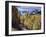 Colorado, Rocky Mountains, Dirt Road, Autumn Aspens in the Backcountry-Christopher Talbot Frank-Framed Premium Photographic Print