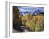 Colorado, Rocky Mountains, Dirt Road, Autumn Aspens in the Backcountry-Christopher Talbot Frank-Framed Premium Photographic Print