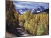 Colorado, Rocky Mountains, Dirt Road, Autumn Aspens in the Backcountry-Christopher Talbot Frank-Mounted Premium Photographic Print