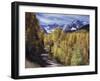 Colorado, Rocky Mountains, Dirt Road, Autumn Aspens in the Backcountry-Christopher Talbot Frank-Framed Photographic Print