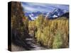 Colorado, Rocky Mountains, Dirt Road, Autumn Aspens in the Backcountry-Christopher Talbot Frank-Stretched Canvas