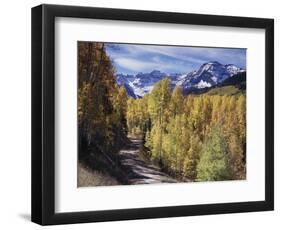 Colorado, Rocky Mountains, Dirt Road, Autumn Aspens in the Backcountry-Christopher Talbot Frank-Framed Photographic Print