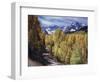 Colorado, Rocky Mountains, Dirt Road, Autumn Aspens in the Backcountry-Christopher Talbot Frank-Framed Photographic Print