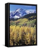 Colorado, Rocky Mts, Aspen Trees Below a Mountain Peak in Fall-Christopher Talbot Frank-Framed Stretched Canvas