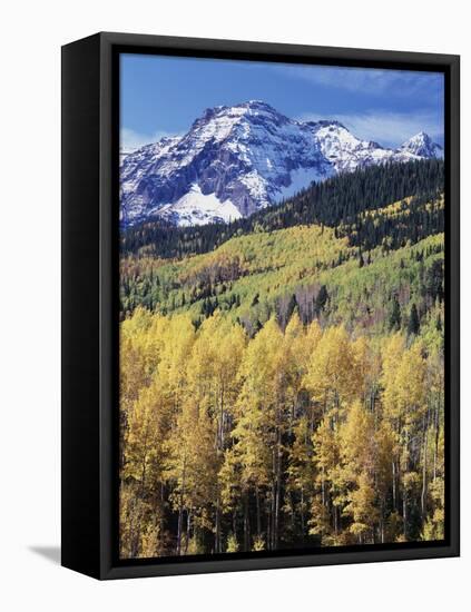 Colorado, Rocky Mts, Aspen Trees Below a Mountain Peak in Fall-Christopher Talbot Frank-Framed Stretched Canvas