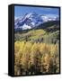 Colorado, Rocky Mts, Aspen Trees Below a Mountain Peak in Fall-Christopher Talbot Frank-Framed Stretched Canvas