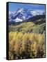 Colorado, Rocky Mts, Aspen Trees Below a Mountain Peak in Fall-Christopher Talbot Frank-Framed Stretched Canvas