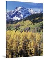 Colorado, Rocky Mts, Aspen Trees Below a Mountain Peak in Fall-Christopher Talbot Frank-Stretched Canvas