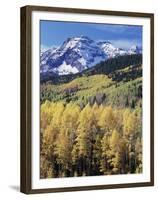 Colorado, Rocky Mts, Aspen Trees Below a Mountain Peak in Fall-Christopher Talbot Frank-Framed Premium Photographic Print