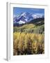 Colorado, Rocky Mts, Aspen Trees Below a Mountain Peak in Fall-Christopher Talbot Frank-Framed Premium Photographic Print