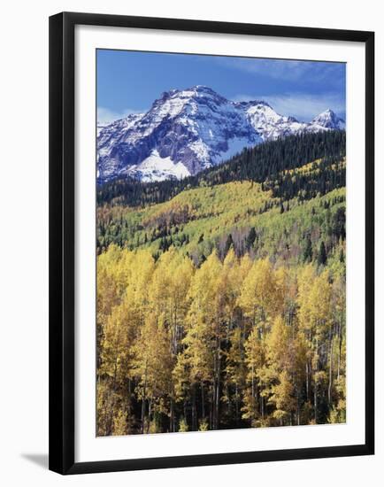 Colorado, Rocky Mts, Aspen Trees Below a Mountain Peak in Fall-Christopher Talbot Frank-Framed Premium Photographic Print