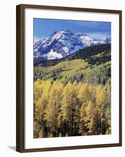 Colorado, Rocky Mts, Aspen Trees Below a Mountain Peak in Fall-Christopher Talbot Frank-Framed Premium Photographic Print