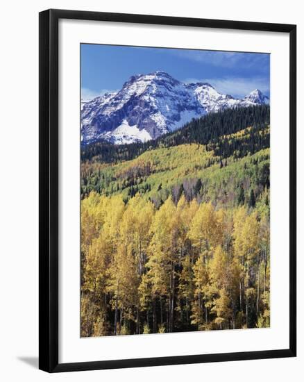 Colorado, Rocky Mts, Aspen Trees Below a Mountain Peak in Fall-Christopher Talbot Frank-Framed Premium Photographic Print