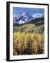 Colorado, Rocky Mts, Aspen Trees Below a Mountain Peak in Fall-Christopher Talbot Frank-Framed Premium Photographic Print