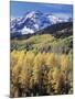 Colorado, Rocky Mts, Aspen Trees Below a Mountain Peak in Fall-Christopher Talbot Frank-Mounted Premium Photographic Print