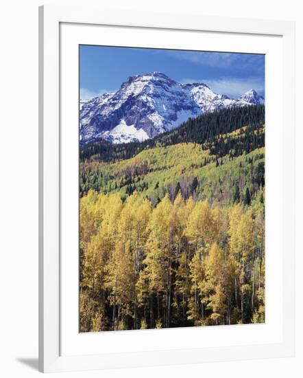 Colorado, Rocky Mts, Aspen Trees Below a Mountain Peak in Fall-Christopher Talbot Frank-Framed Photographic Print