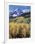 Colorado, Rocky Mts, Aspen Trees Below a Mountain Peak in Fall-Christopher Talbot Frank-Framed Photographic Print