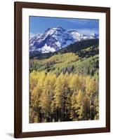 Colorado, Rocky Mts, Aspen Trees Below a Mountain Peak in Fall-Christopher Talbot Frank-Framed Photographic Print