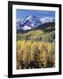 Colorado, Rocky Mts, Aspen Trees Below a Mountain Peak in Fall-Christopher Talbot Frank-Framed Photographic Print