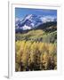 Colorado, Rocky Mts, Aspen Trees Below a Mountain Peak in Fall-Christopher Talbot Frank-Framed Photographic Print