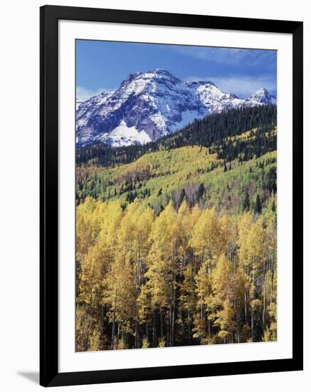 Colorado, Rocky Mts, Aspen Trees Below a Mountain Peak in Fall-Christopher Talbot Frank-Framed Photographic Print