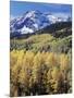 Colorado, Rocky Mts, Aspen Trees Below a Mountain Peak in Fall-Christopher Talbot Frank-Mounted Photographic Print