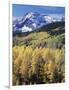 Colorado, Rocky Mts, Aspen Trees Below a Mountain Peak in Fall-Christopher Talbot Frank-Framed Photographic Print