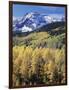 Colorado, Rocky Mts, Aspen Trees Below a Mountain Peak in Fall-Christopher Talbot Frank-Framed Photographic Print