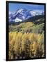 Colorado, Rocky Mts, Aspen Trees Below a Mountain Peak in Fall-Christopher Talbot Frank-Framed Photographic Print