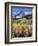 Colorado, Rocky Mts, Aspen Trees Below a Mountain Peak in Fall-Christopher Talbot Frank-Framed Photographic Print