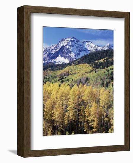 Colorado, Rocky Mts, Aspen Trees Below a Mountain Peak in Fall-Christopher Talbot Frank-Framed Photographic Print